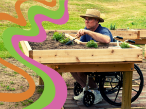 a man in a wheelchair gardening in raise beds